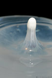 Milk Droplet Splash In Water A8V9018